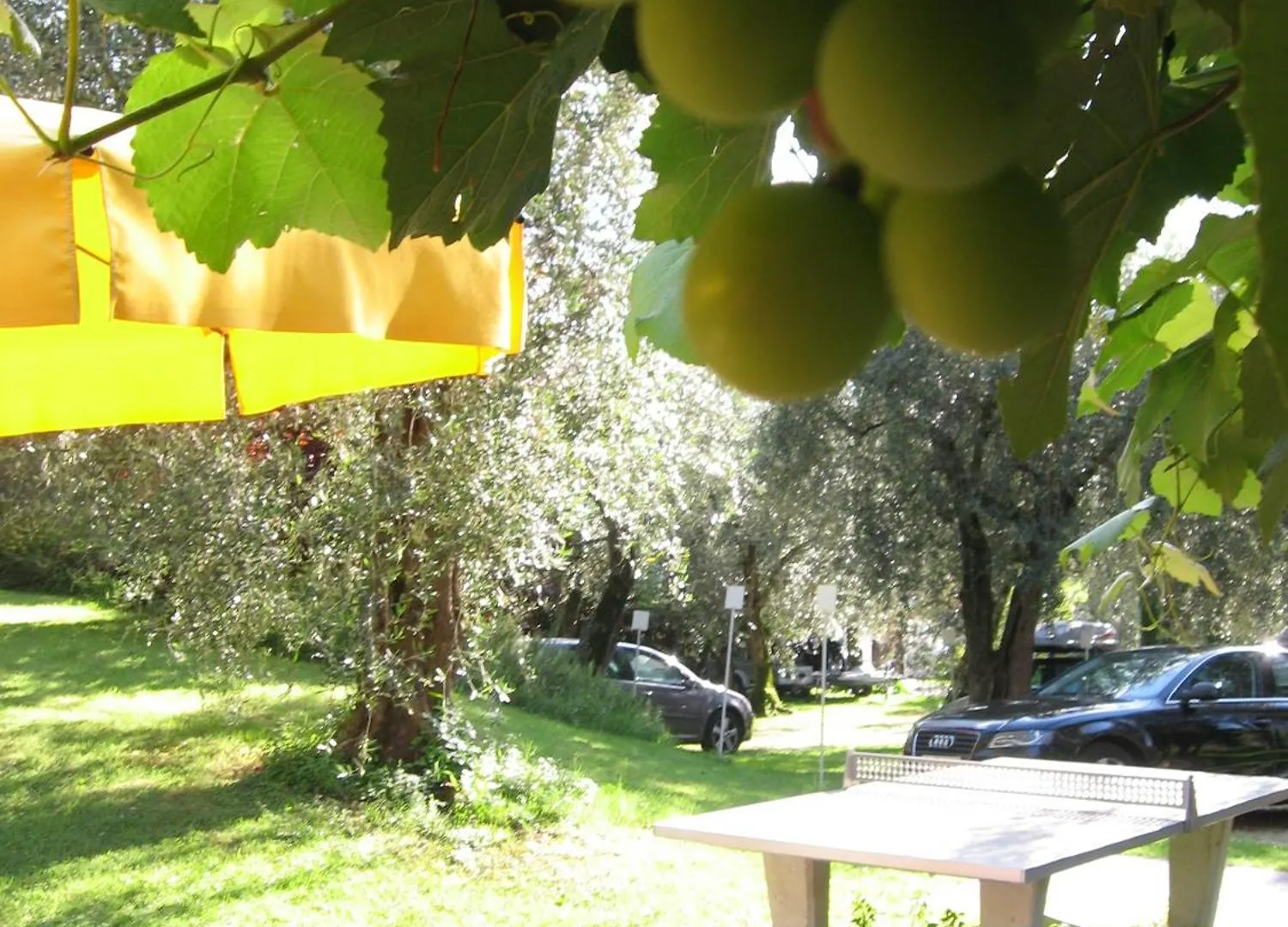 Hotel Catullo Malcesine 3*,