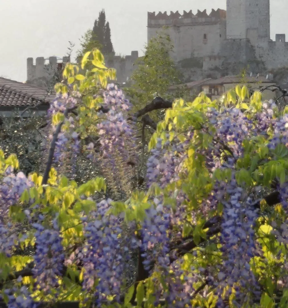 Hotel Catullo Malcesine 3*,